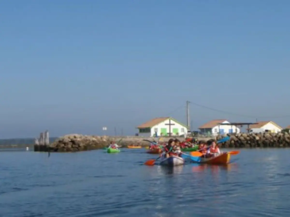 Balade botanique en kayak aux Prés Salés du Bassin d'Arcachon