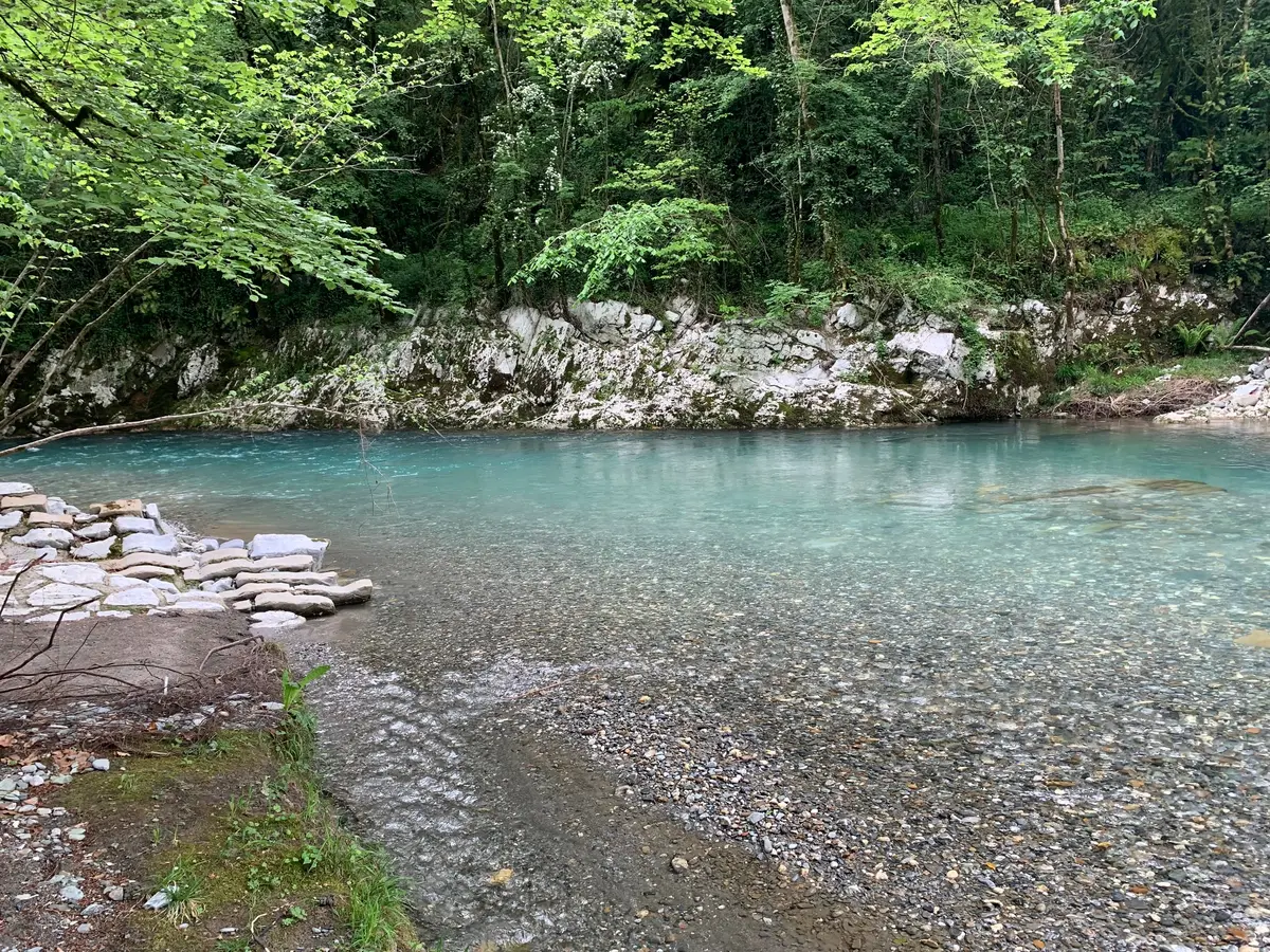 Balade botanique et repas Les Plantes Sauvages Comestibles