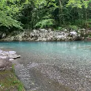 Balade botanique et repas Les Plantes Sauvages Comestibles