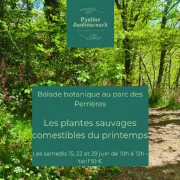 Balade botanique: Les plantes sauvages comestibles du Printemps (Parc des Perrières)