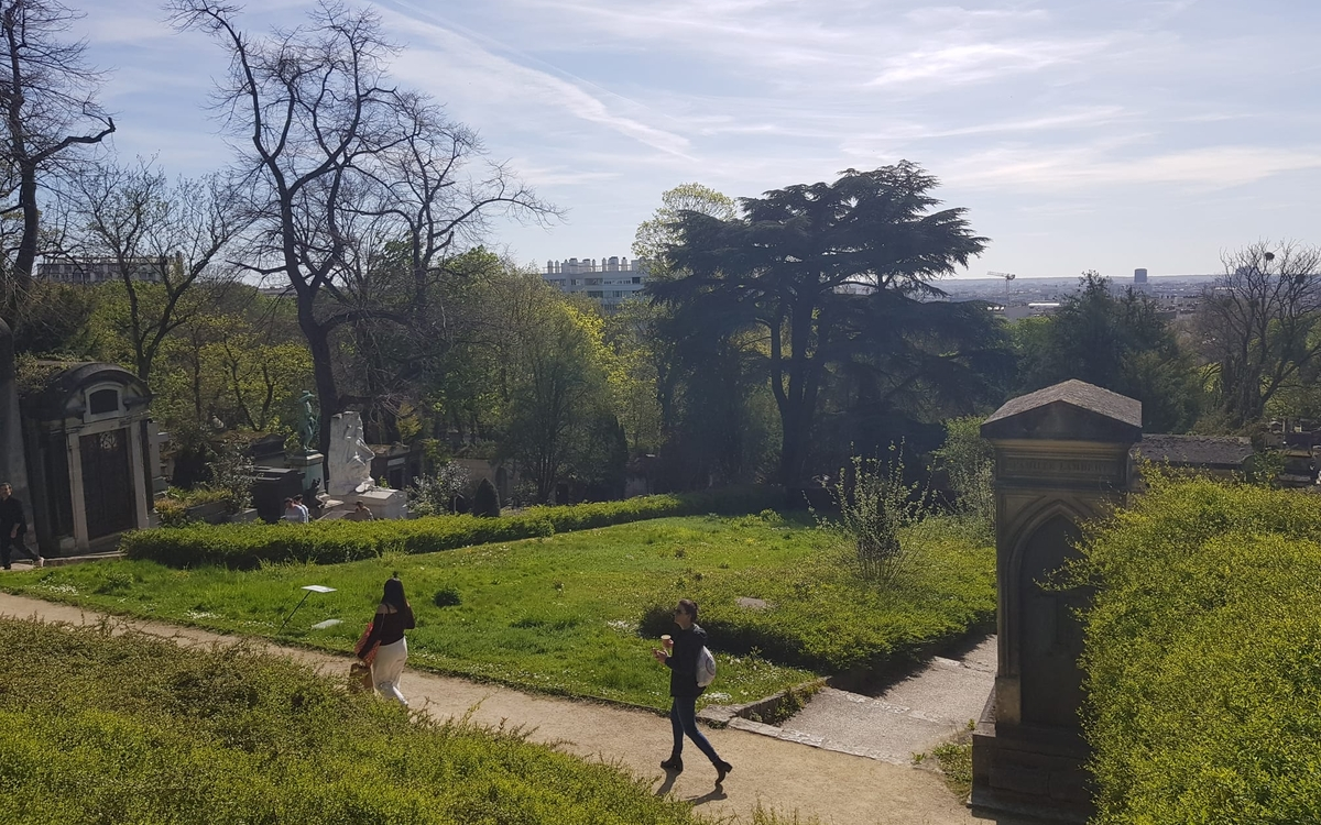 Vue générale sur la friche et le cèdre majesteux du Père-Lachaise