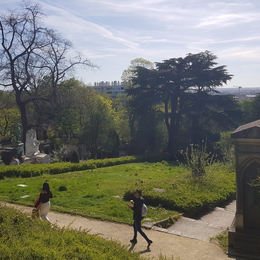 Balade botanique Plantes qui tuent, plantes qui soignent au Père-Lachaise