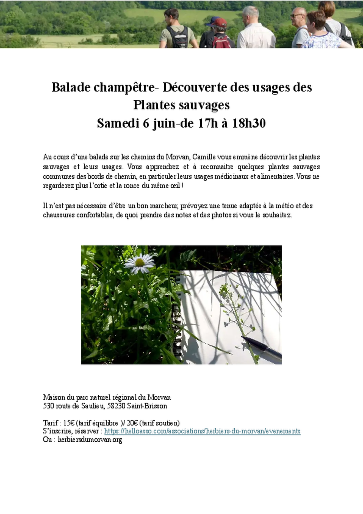 Balade champêtre- Découverte des usages des Plantes Sauvages