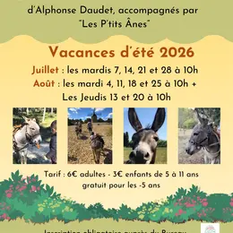 Balade commentée au pas de l'âne sur le Sentier des Moulins d'Alphonse Daudet