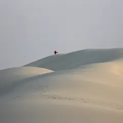 Balade commentée de la Dune du Pilat au coucher du soleil