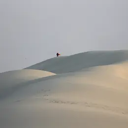 Balade commentée de la Dune du Pilat au coucher du soleil