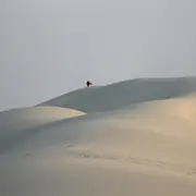 Balade commentée de la Dune du Pilat au coucher du soleil