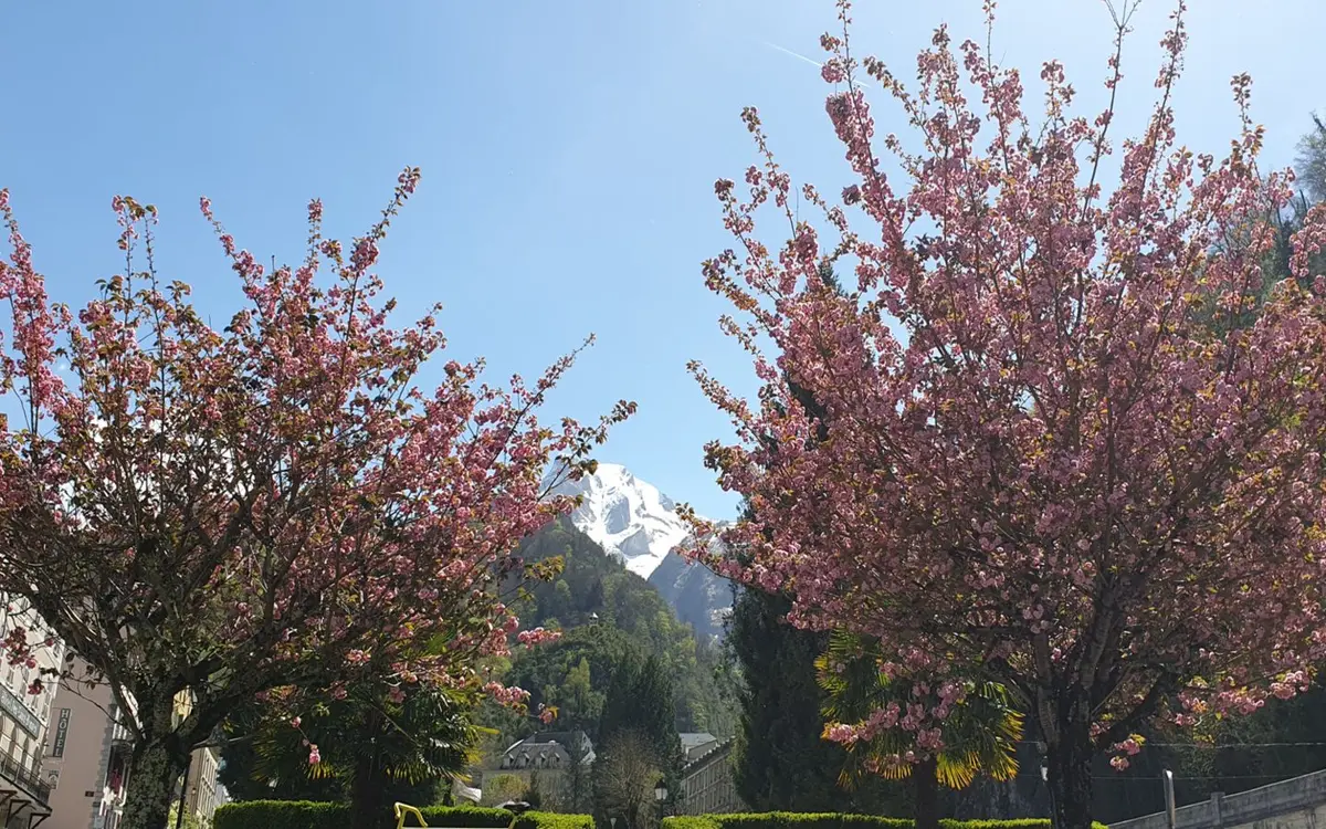 Balade commentée des Eaux-Bonnes