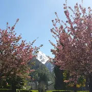 Balade commentée des Eaux-Bonnes