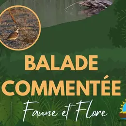 Balade Commentée, Faune Et Flore