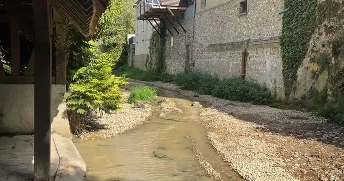 Balade commentée semi-nocturne : A la découverte de l'Ethelin