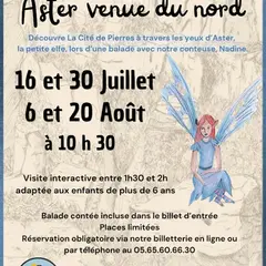 Balade contée  Aster venue du Nord  - La Cité de Pierres à Montpellier-Le-Vieux