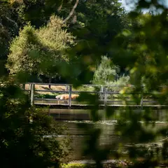 Balade contée Contes et légendes de Gascogne