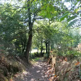 Balade contée  dans la vallée de l'Aure