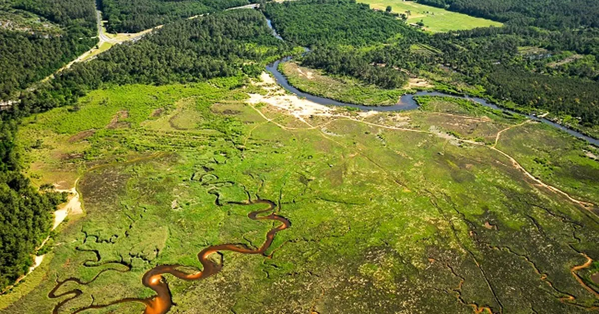 Balade contée dans les prés salés
