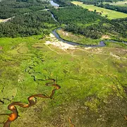 Balade contée dans les prés salés