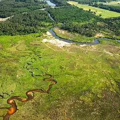 Balade contée dans les prés salés