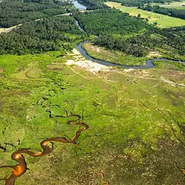 Balade contée dans les prés salés