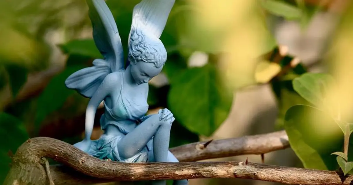 Balade contée de la forêt enchantée