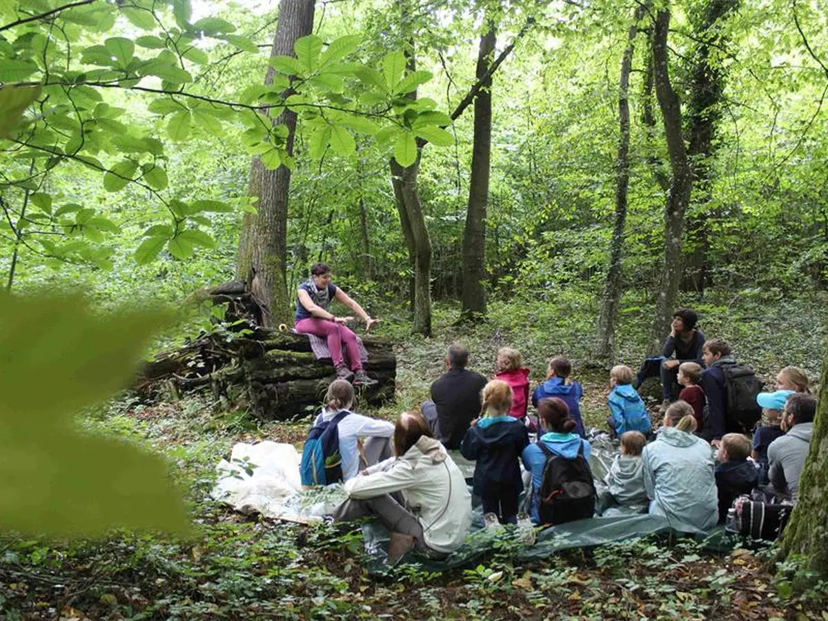 Balade contée 'Echos de la forêt'