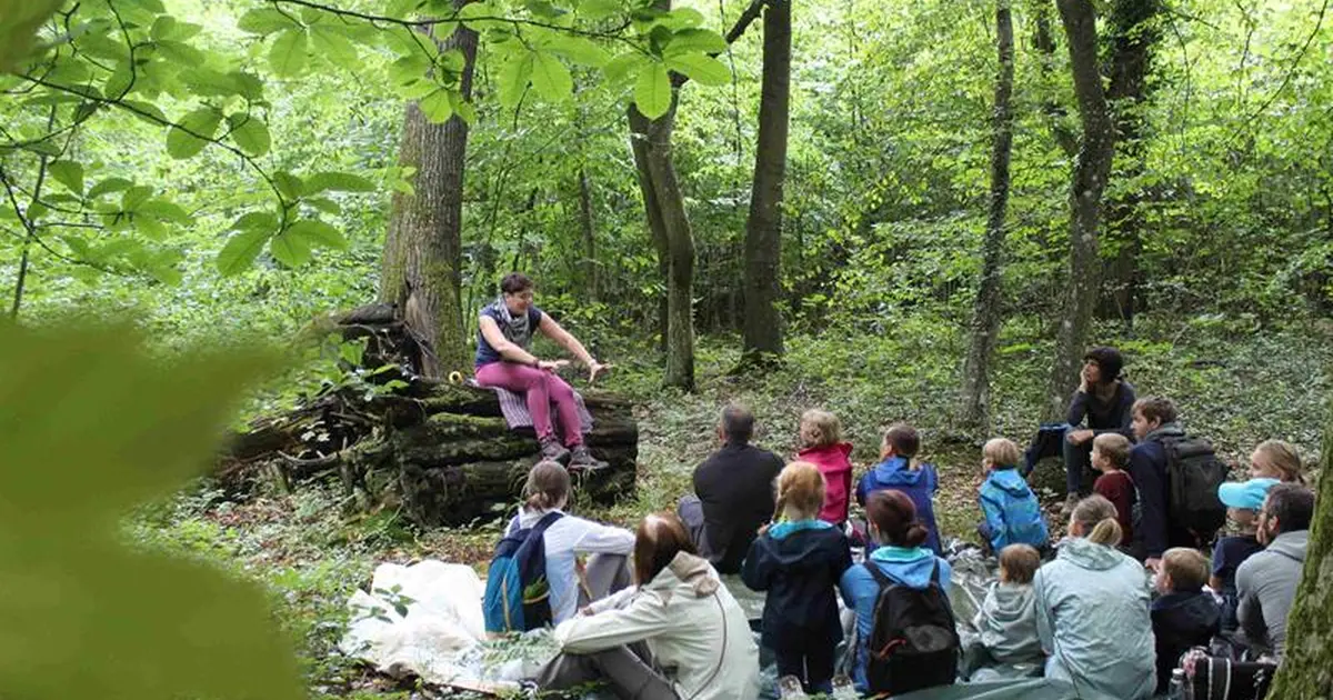 Balade contée 'Echos de la forêt'