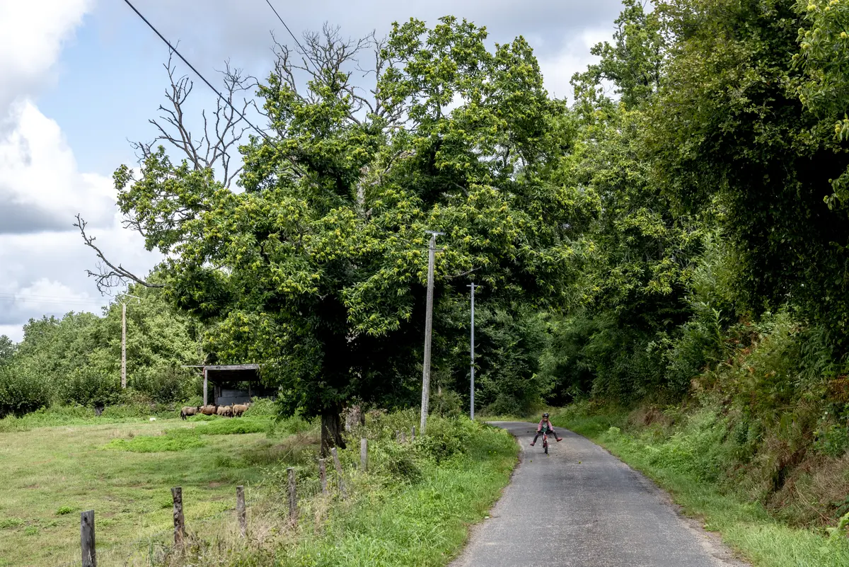 Balade contée en occitan