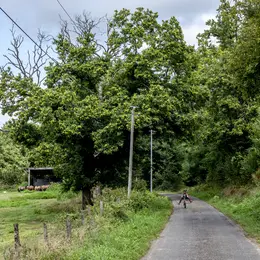 Balade contée en occitan