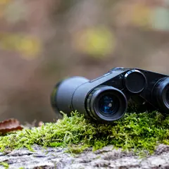 Balade contée et naturaliste