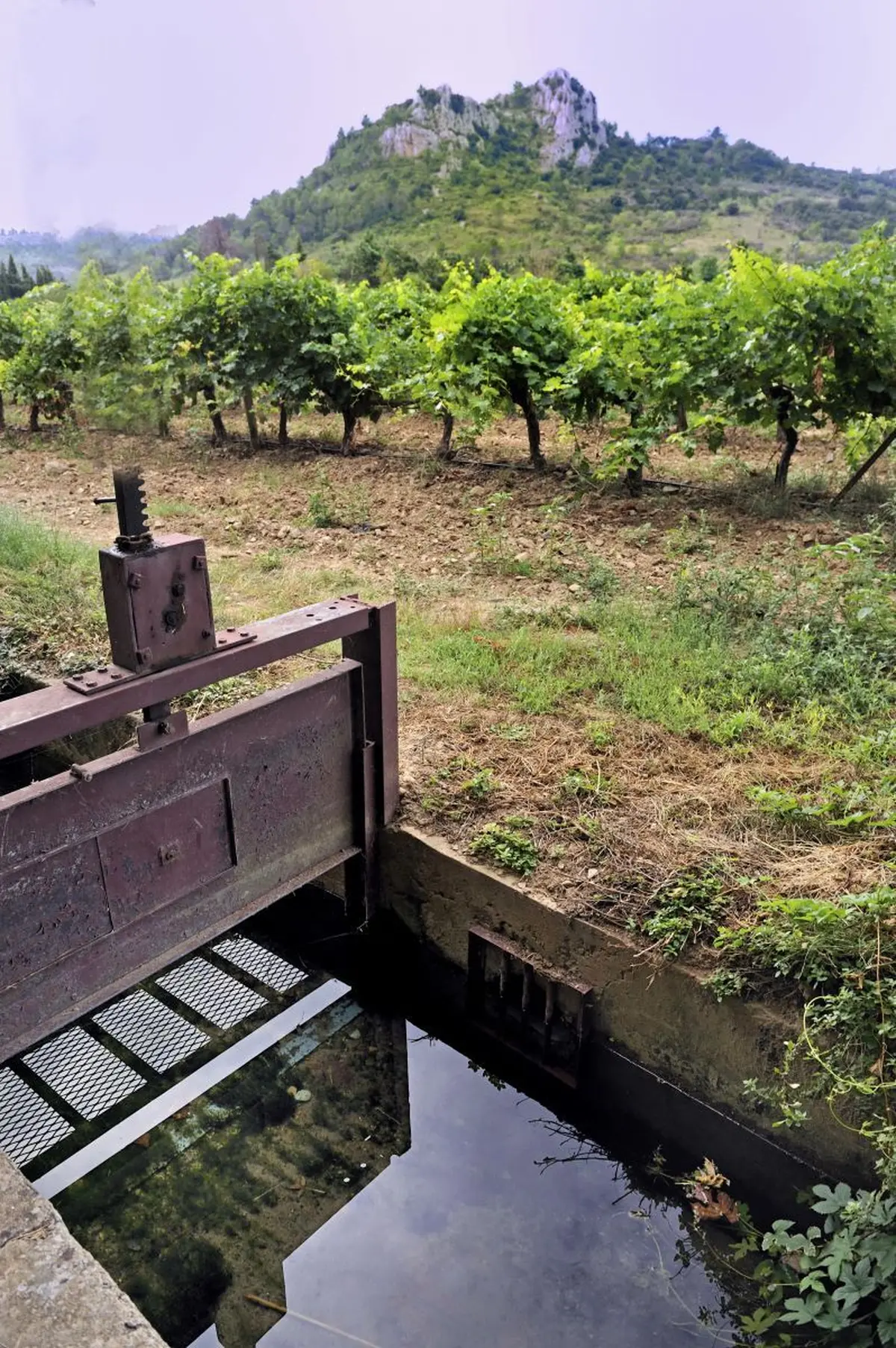 Balade Contée Le Canal De L'Abbé Par Isabelle