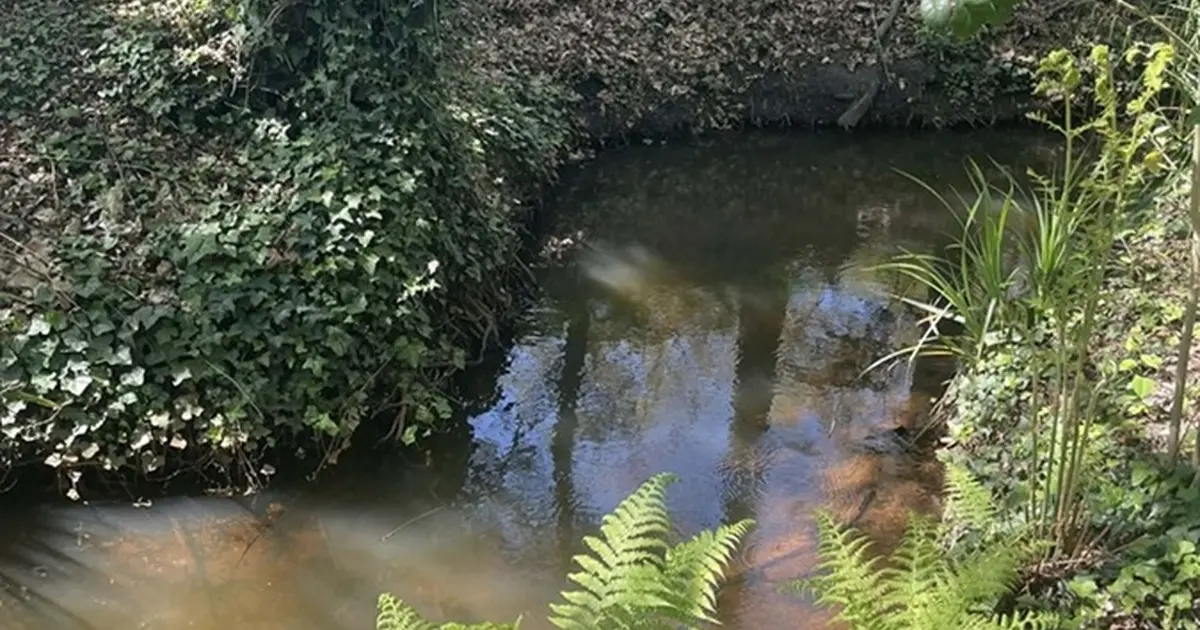 Balade contée le long du Bétey "Le murmure du ruisseau"