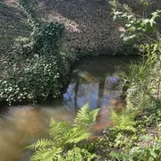 Balade contée le long du Bétey  Le murmure du ruisseau
