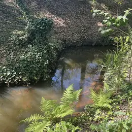 Balade contée le long du Bétey  Le murmure du ruisseau