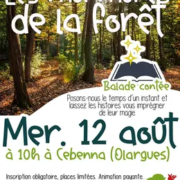 Balade Contée : Les Murmures De La Forêt