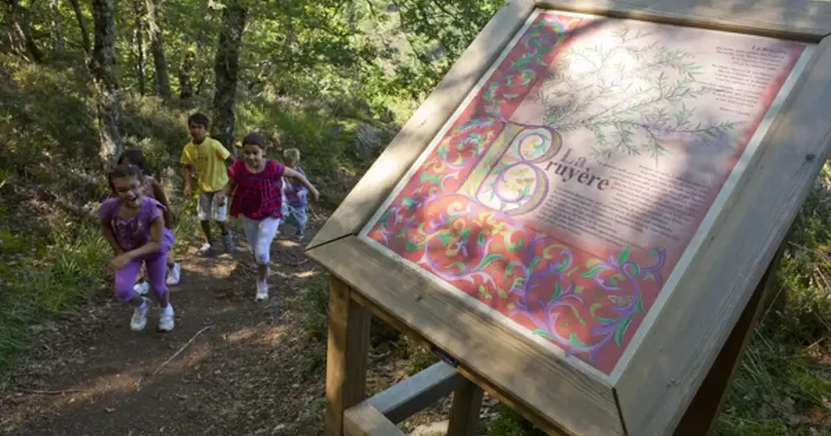 Balade contée sur le sentier de l'imaginaire et ateliers enfants à la maison du bois : le miel et ses secrets
