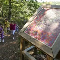 Balade contée sur le sentier de l'imaginaire et ateliers enfants à la maison du bois : le miel et ses secrets