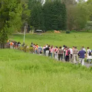 Balade crépusculaire à Meuzac