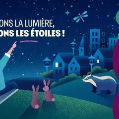 Balade crépusculaire dans les marais