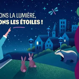 Balade crépusculaire dans les marais