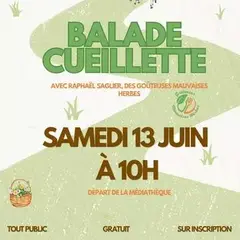 Balade cueillette