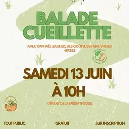 Balade cueillette