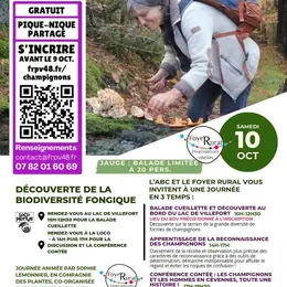 Balade Cueillette De Champignons Et Conférence Contée