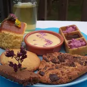 Balade cueillette et goûter nature pour les enfants