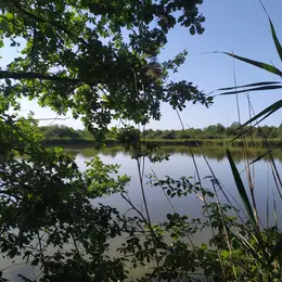 Balade dans la réserve de Chérine