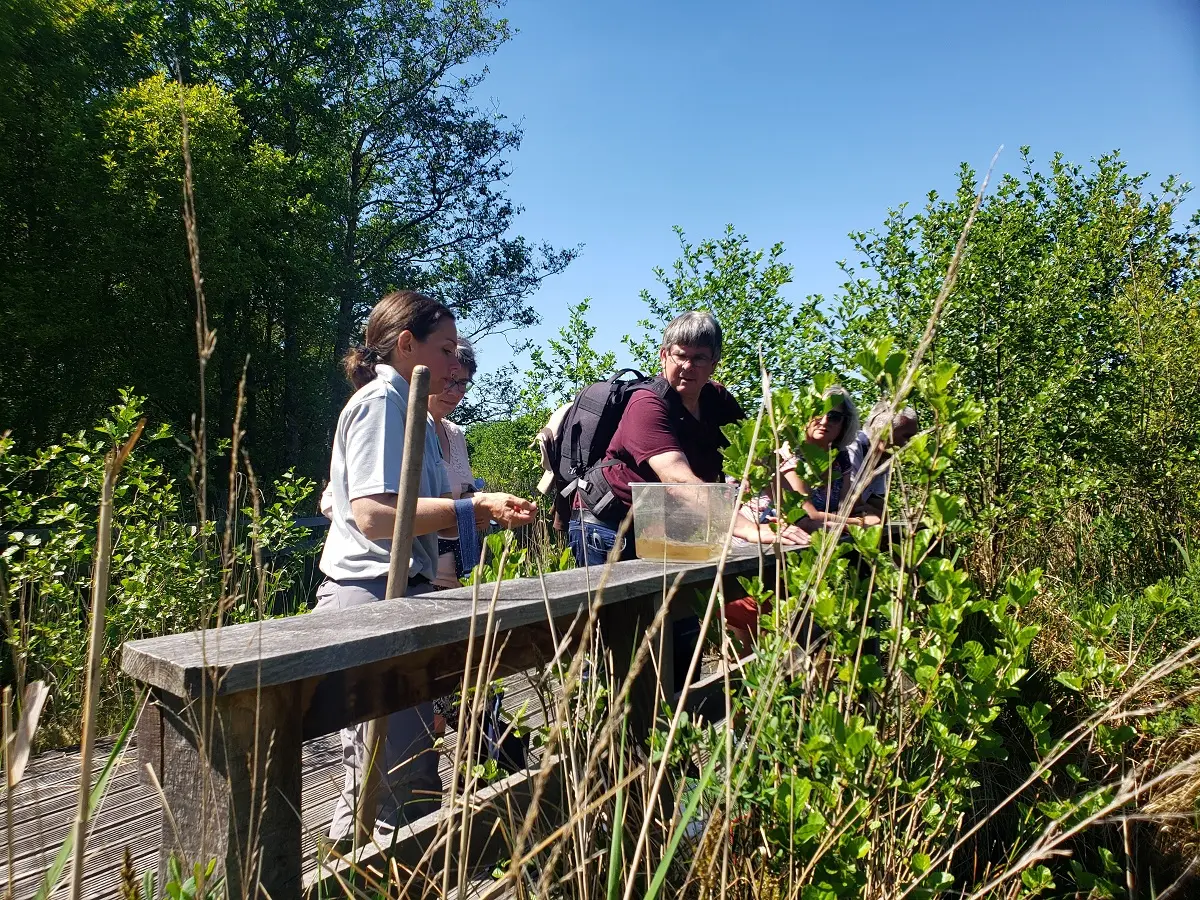 Balade dans la réserve de Mathon un soir de printemps
