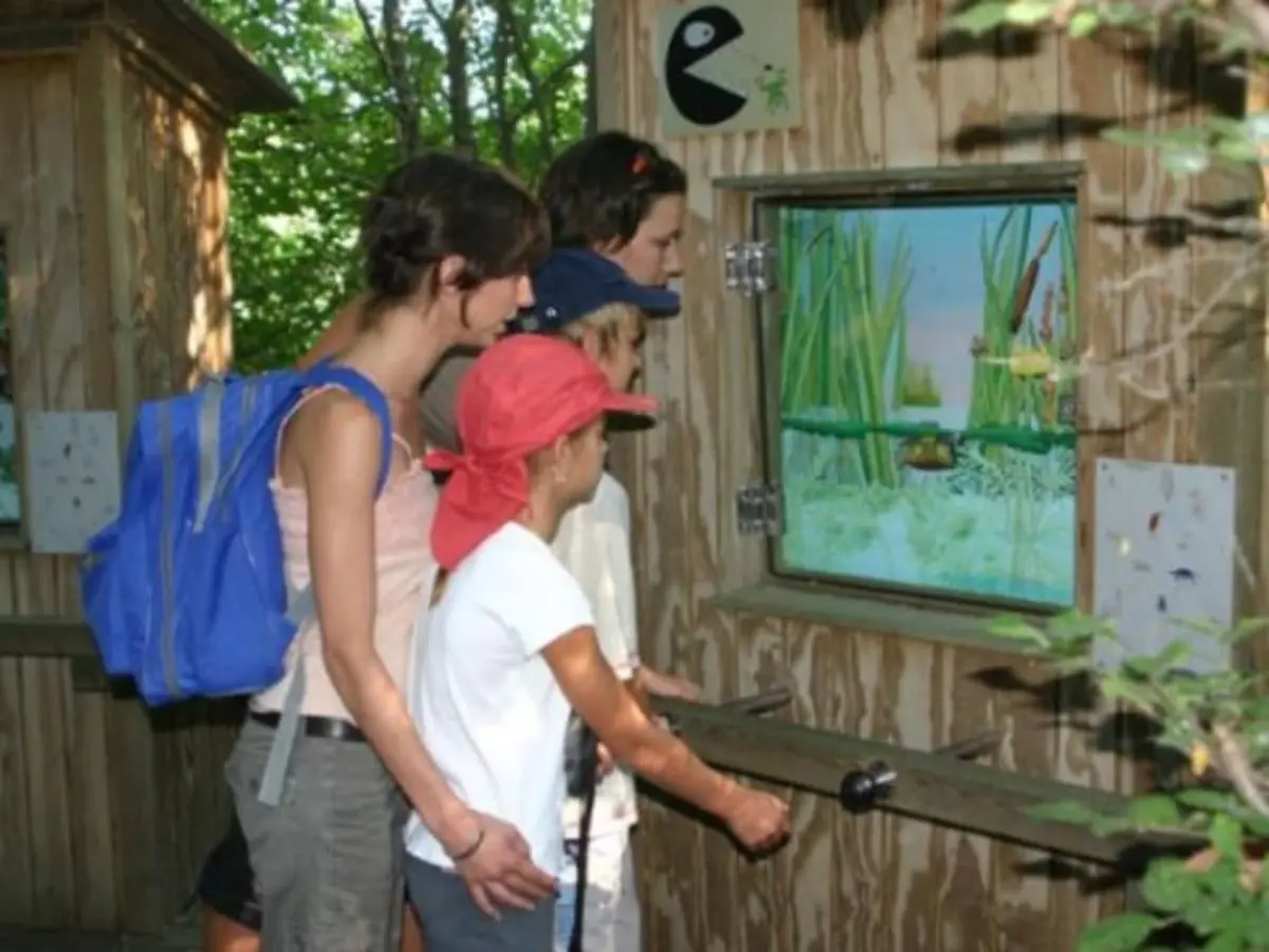 Balade dans les sentiers de l'Etourneau (13)