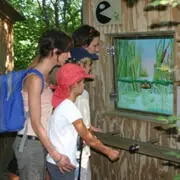 Balade dans les sentiers de l'Etourneau (13)