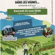 Balade dans les vignes au Domaine d'Etilly