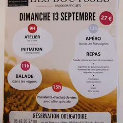 Balade dans les vignes et déjeuner au château les Bouysses
