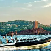 Balade Dauphins et cétacés en semi-rigide depuis Saint-Raphaël