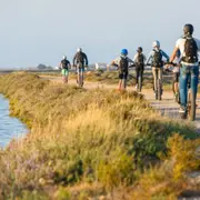 Balade de l'étang en trottinette électrique à Gruissan (11)